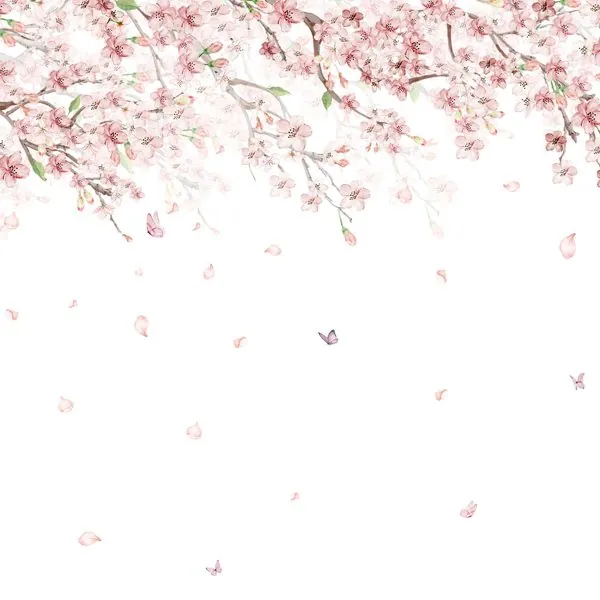 Flores de Cerejeira Suspensas — estampa do papel de parede